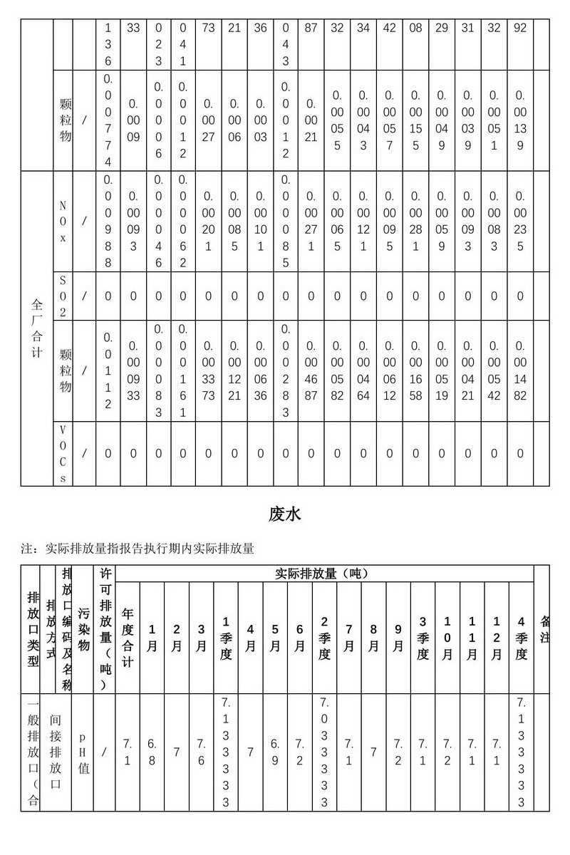 2024年排污许可证执行报告