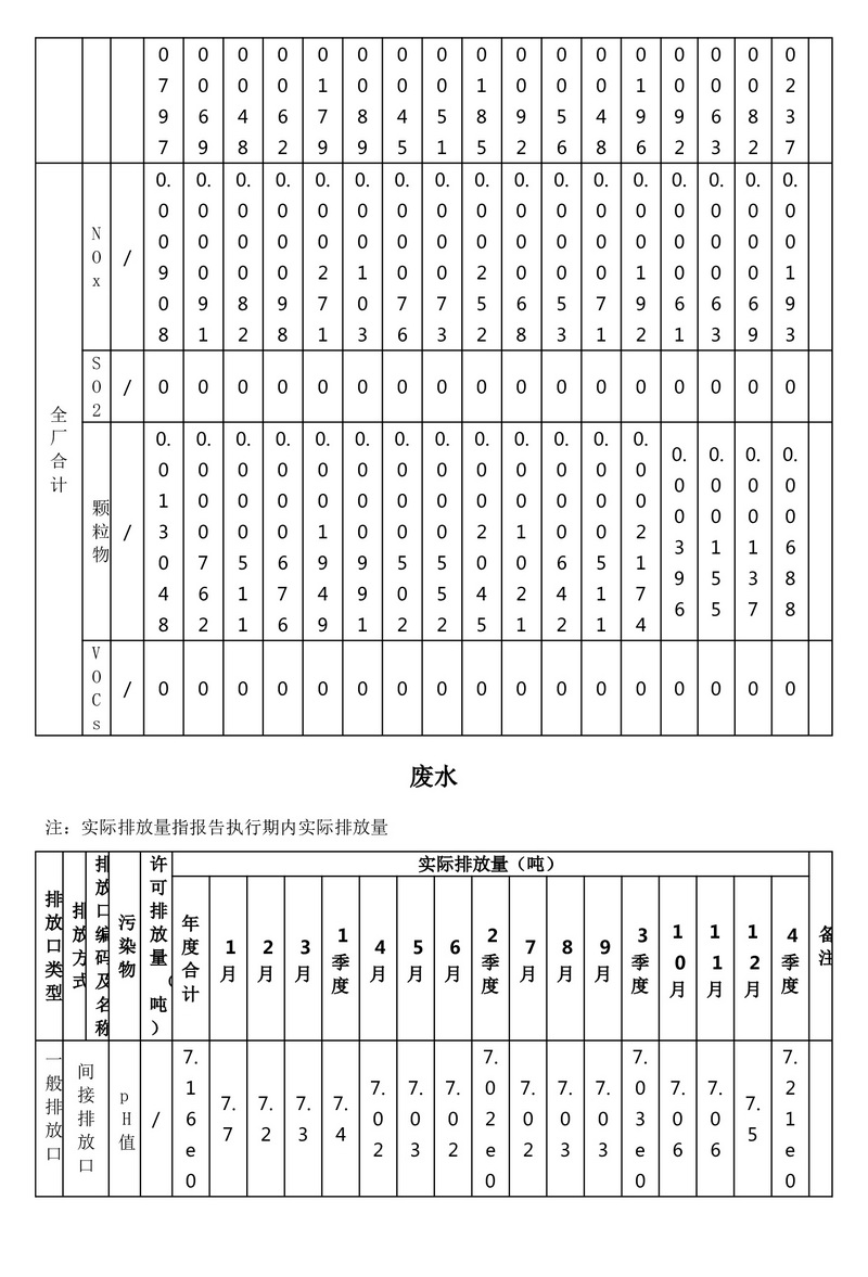 排污许可证执行报告（2025 年度年报）